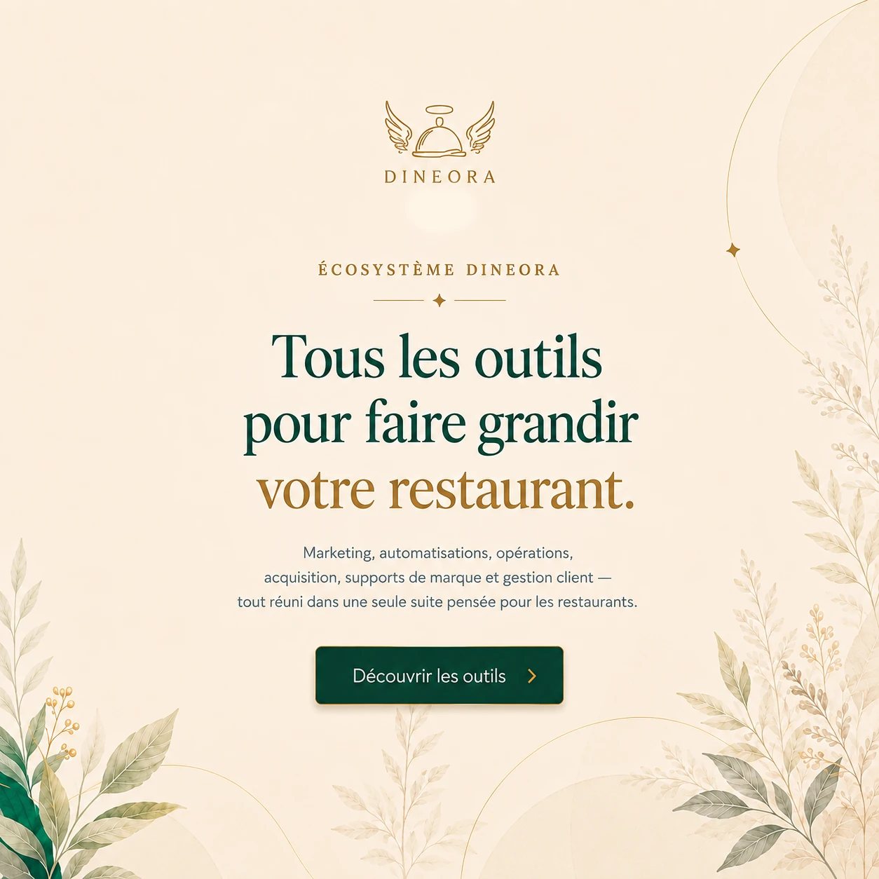 Ecosysteme Dineora : tous les outils pour faire grandir votre restaurant — marketing, automatisations, operations, acquisition, supports de marque et gestion client.