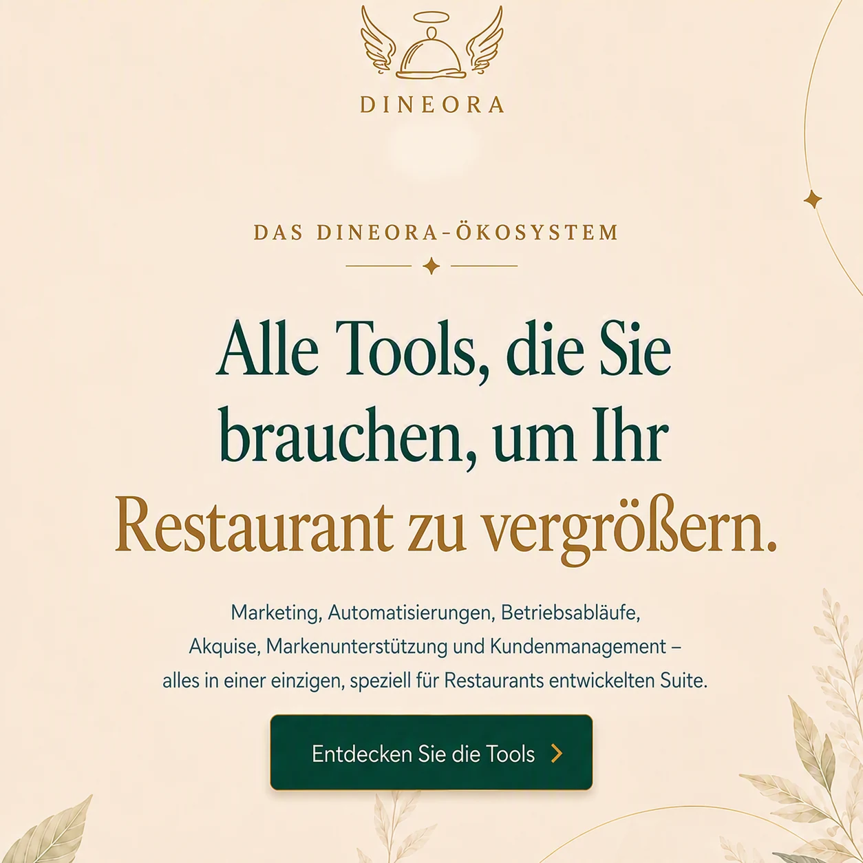 Ecosysteme Dineora : tous les outils pour faire grandir votre restaurant — marketing, automatisations, operations, acquisition, supports de marque et gestion client.