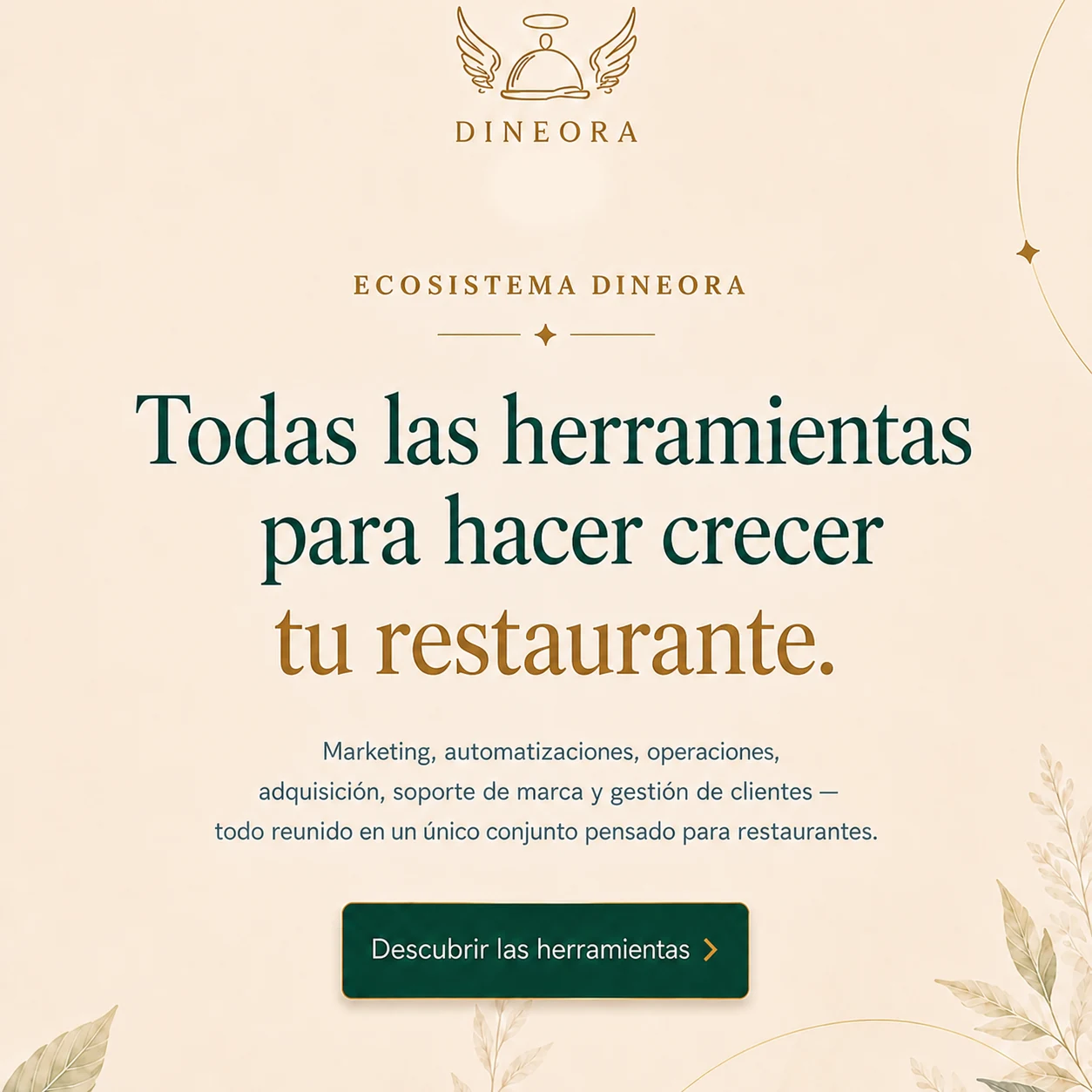 Ecosysteme Dineora : tous les outils pour faire grandir votre restaurant — marketing, automatisations, operations, acquisition, supports de marque et gestion client.