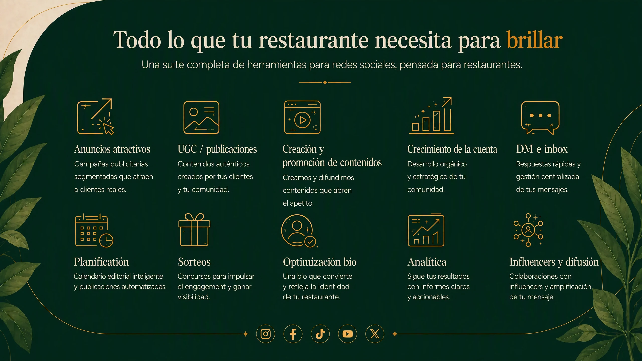Todo lo que tu restaurante necesita para brillar: anuncios atractivos, UGC y publicaciones, creación y promoción de contenido, crecimiento de la cuenta, mensajes y bandeja, planificación, sorteos, optimización de la bio, analítica, influencia y difusión.