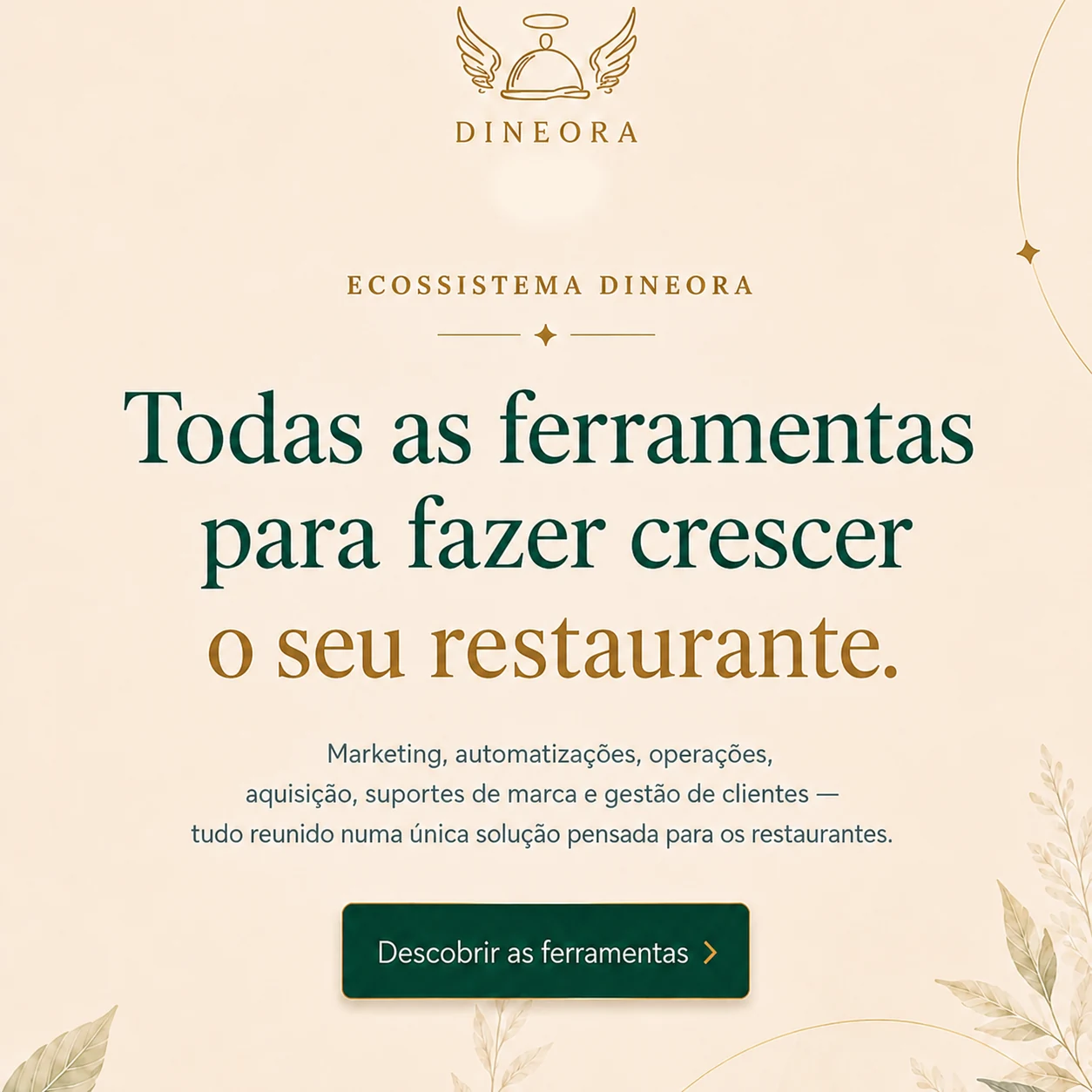 Ecosysteme Dineora : tous les outils pour faire grandir votre restaurant — marketing, automatisations, operations, acquisition, supports de marque et gestion client.